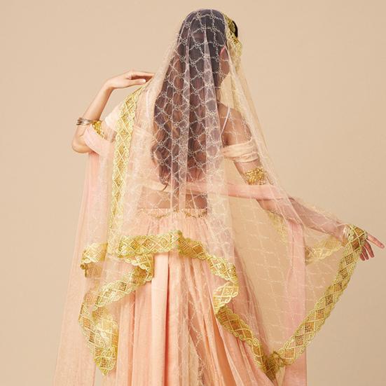 Индийский танец вуаль сетка с горячим тиснением цветы костюм реквизит взрослые дети многоразовые выступления фестивали вечеринки взрослый костюм вуаль