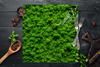 Glass protective plate for the stove 50x52 Color