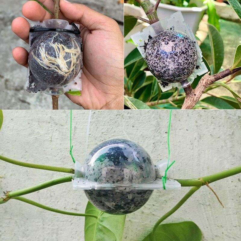 5 см 10 шт., шар для укоренения растений, коробка для корней, пластиковый корпус, прозрачный цветок, прививка, выращивание, разведение под высоким давлением