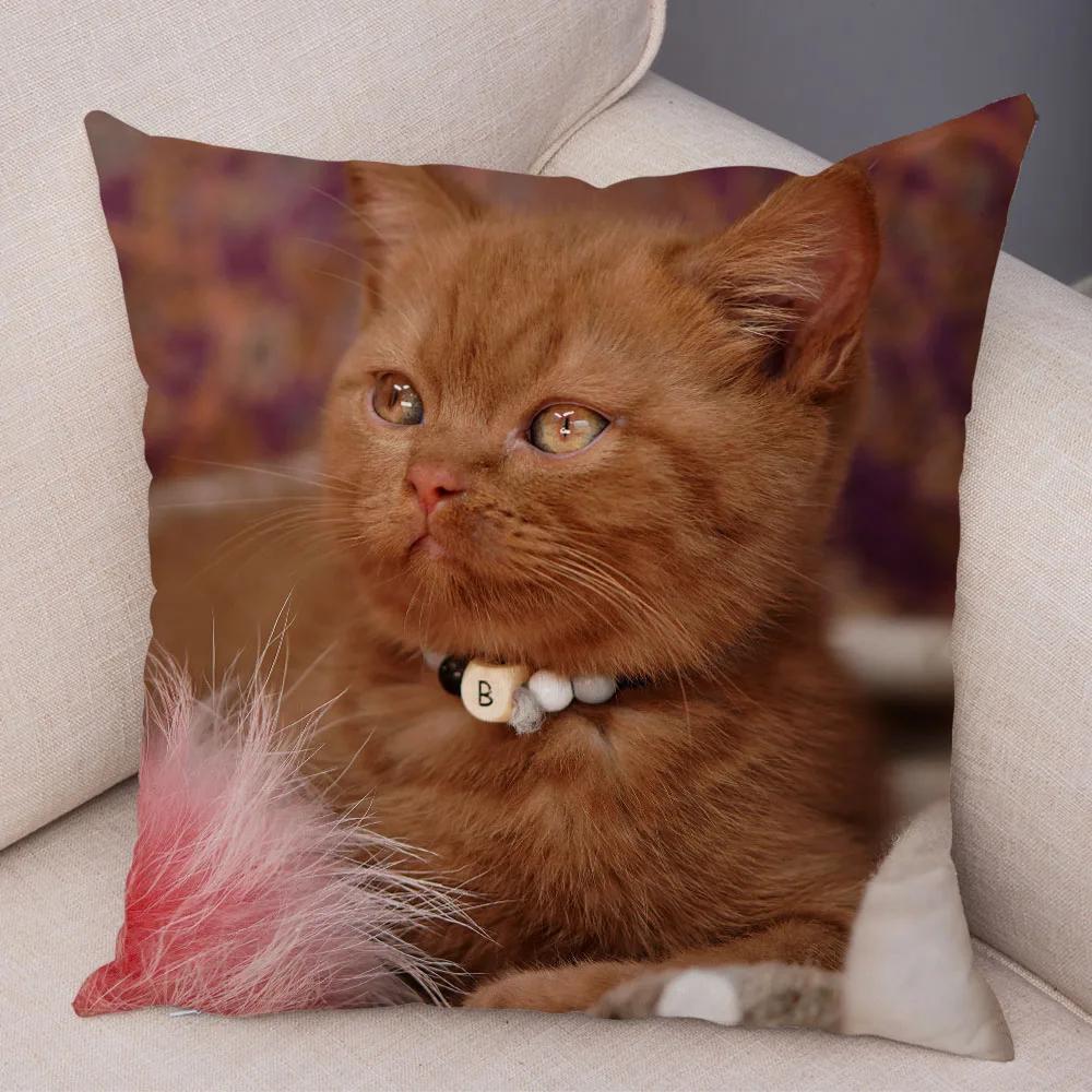 Русская голубая Британская короткошерстная Наволочка Декор Милый кот Домашнее животное Животное Наволочка Мягкий плюшевый Чехол для подушки для машины Дивана Дома