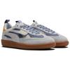 Мужские кроссовки KidSuper x Puma Palermo Пепельно-серый Filtered-Ash 397306-02