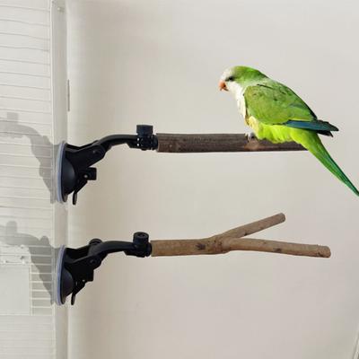 Подставка для попугая с присоской, избавляющая от скуки, игрушка для птиц из натурального дерева для какаду, ара, попугая