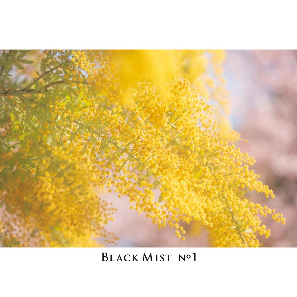 Kenko Mist Filter Black Mist N 58mm Soft Diffusion Effect Powerfully softens creating a cinematic effect Slim frame compatible with lenses Water and