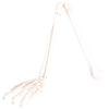 Monolife Human Anatomy Model, Upper Limb Bones, Humerus, Forearm, Wrist, Hand Bones, Life-Size, 73cm, Wired Model, Left Hand