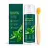Refreshing Mint Toothpaste Gentle Cleaning Care Renew Breath Soft Foam Brushing Mild Toothpaste 100G Clean Mint Toothpaste