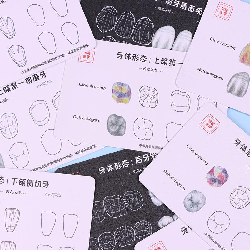 Стоматологическая композитная пломбировочная доска для практического применения Модель Зубы Шаблон Реставрация Полости Стоматолог Передняя Задняя Практика Стек Смолы