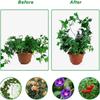 Indoor Plant Trellis Halloween Witch Bat Garden Trellis for Climbing Plant Metal Wire Stake Potted Plant Houseplant Gift