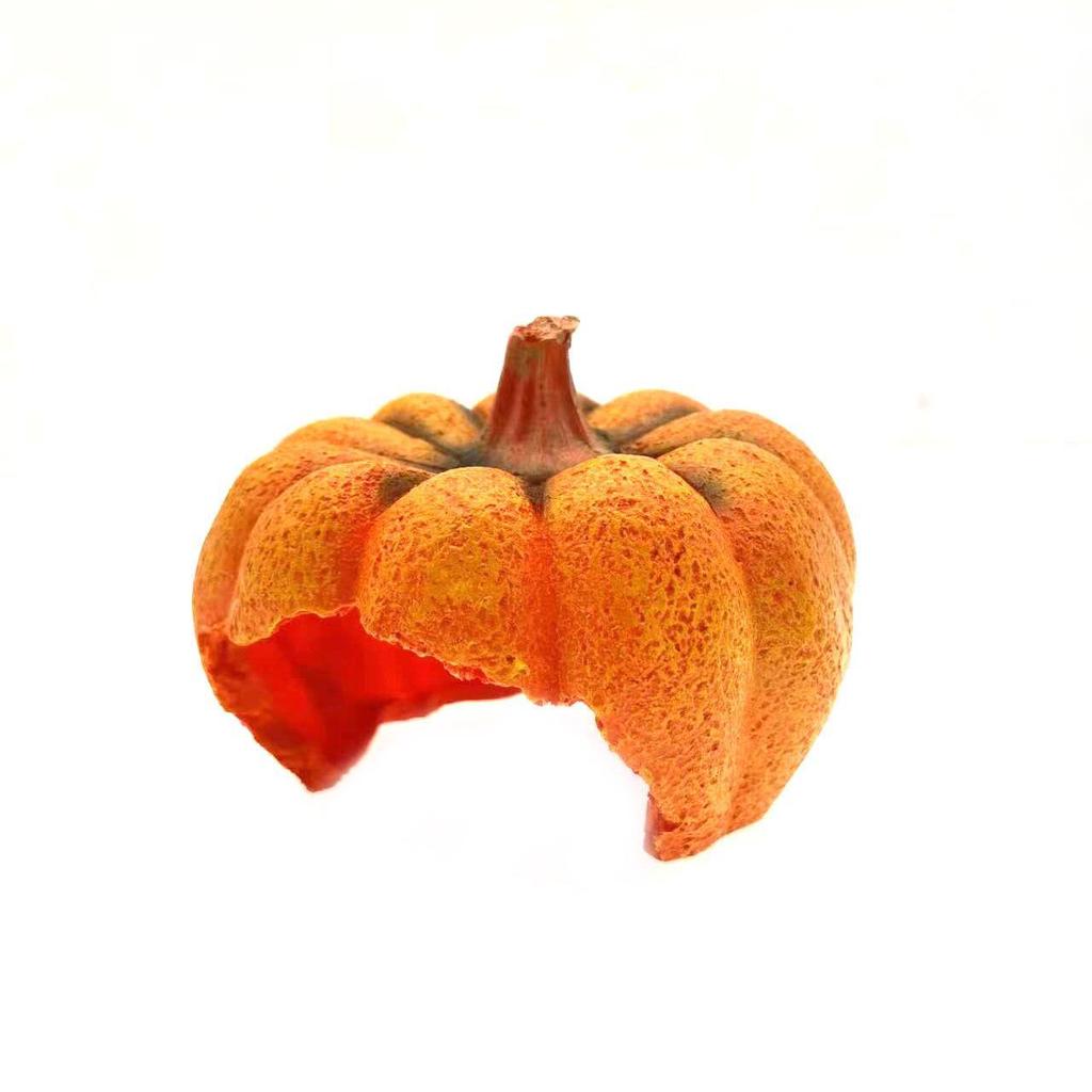Hermit Crab Pumpkin Hideaway: Halloween Fish Tank Decor with Climbing and Hiding Spots.