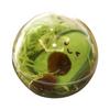Acrylic PS Transparent Christmas Ornament Hanging Ball for Holiday Decoration