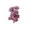 Yousheng 1Pc Artificial Succulent Plant Flocking Flower DIY Home Office Bonsai Decoration