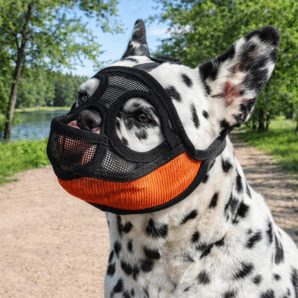 Practical Mesh Dog Muzzle Anti-Eating Adjustable Pet Dog Mask Breathable Drinkable Dog Anti-Biting Muzzle Outdoor Walking