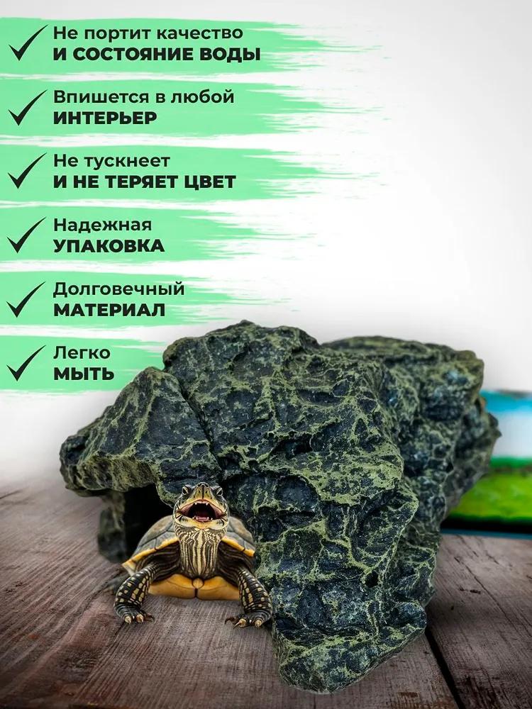 Живая черепаха греется на солнце Домашнее животное лазает Черепаха лазает по каменистому саду Водная черепаха греется на солнце Пещера для черепахи