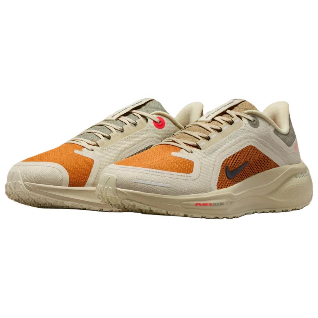 Nike Pegasus 41 GORE-TEX Running Poets Comfortable Fitting Running Shoes Women Sneaker Beige Brown IM6700-852