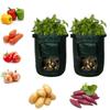 Practical And Lightweight Garden Plant Tools For Homegrown Food On Balconies And Patios