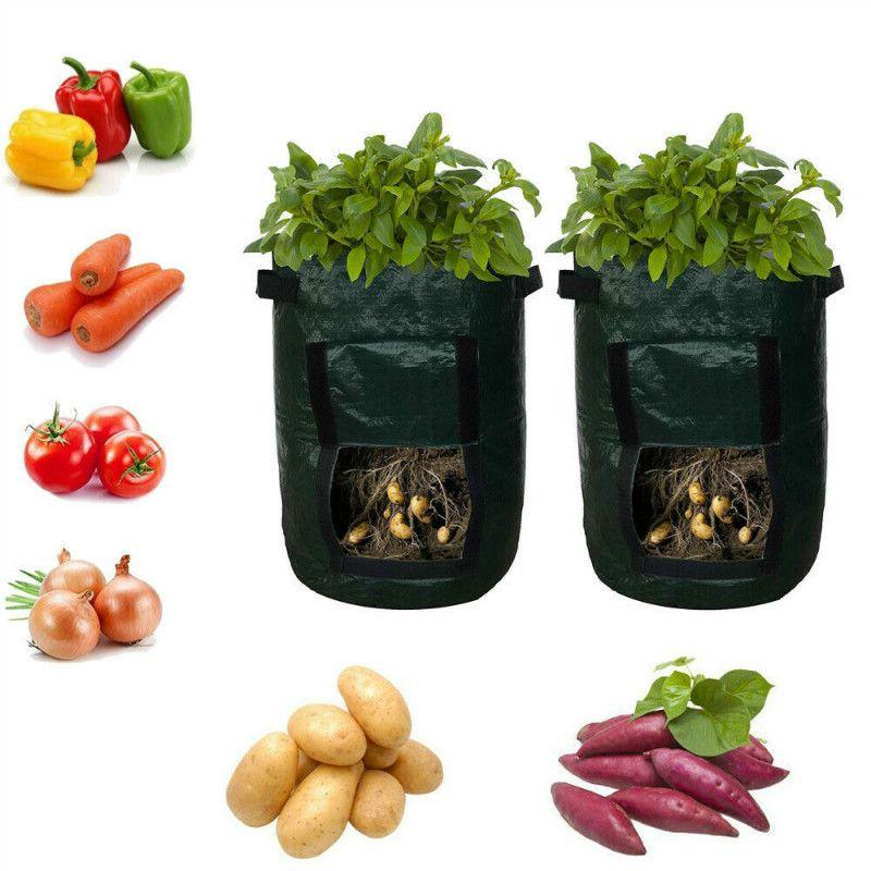 Practical And Lightweight Garden Plant Tools For Homegrown Food On Balconies And Patios