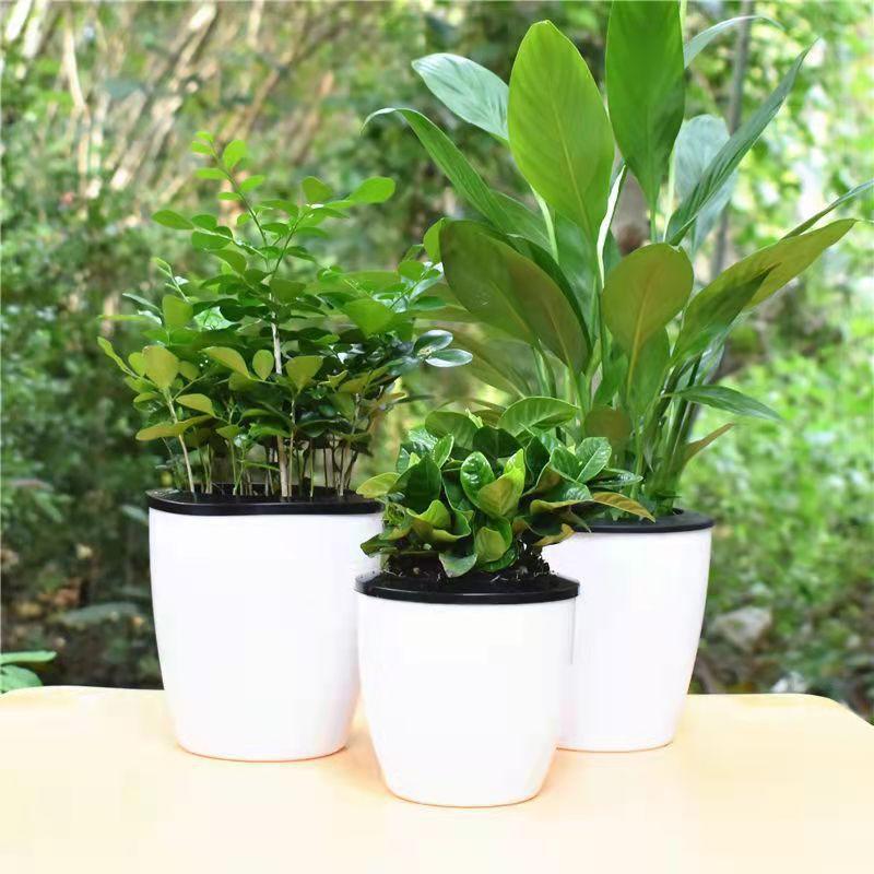 Double-layer Round Flowerpot Lazy Flower Pots Hydroponic Plastic Flowerpot Self Watering Flower Pot Water Absorption Planter