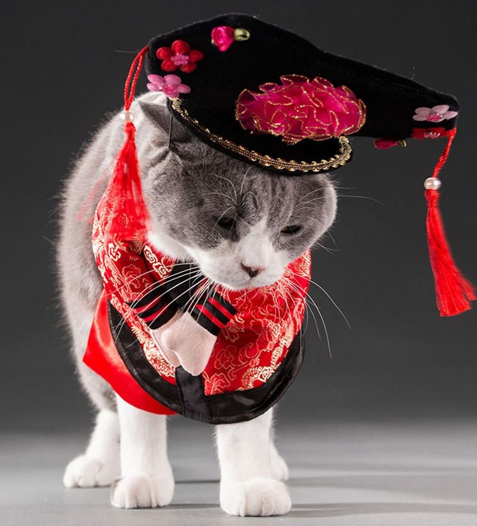 Кукла 1 шт. Милая забавная комичная одежда для домашних животных на Хэллоуин, наряды для кошек, одежда для собак, костюм для косплея собак