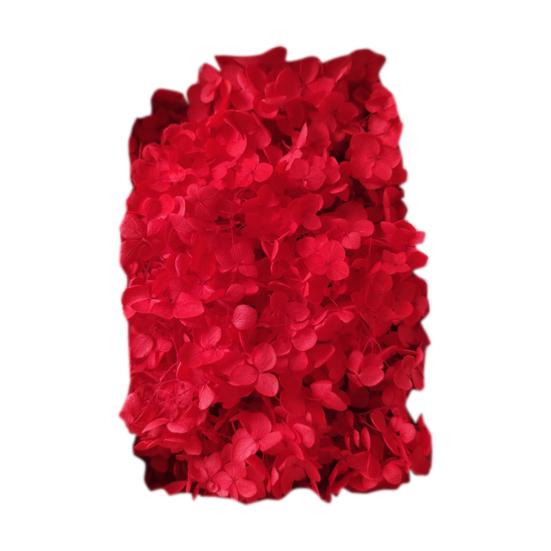 Модные сухие цветы гортензии без полива, легкие, добавляют атмосферы