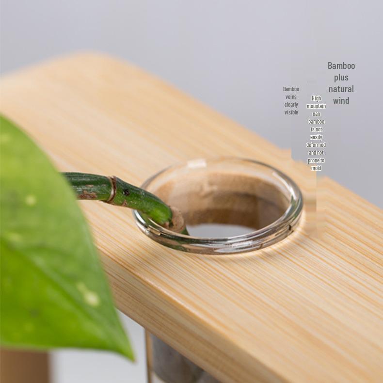 Nan Bamboo Glass Vase: Modern Minimalist Hydroponic Plant Container for Home, Office, Desk, or Wall Decor.