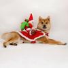 Костюм собаки Санта-Клауса, рождественская одежда для домашних животных, костюмы Санта-Клауса для верховой езды на домашних животных, вечерние наряды для собак, кошек, наряд для маленьких и средних собак, кошек