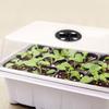 Mini Greenhouse Plant Germination Base 6/12Grids Cultivation Planting Box Seed Starter Tray  Garden