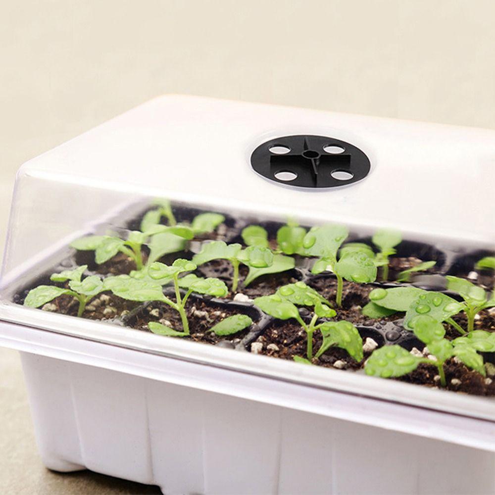 Mini Greenhouse Plant Germination Base 6/12Grids Cultivation Planting Box Seed Starter Tray Garden