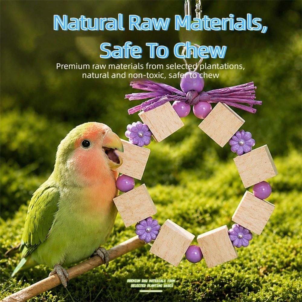 Colorful Beads Wooden Parrot Chewing Toy Ring-shaped Beak Grinding Toy for Budgies