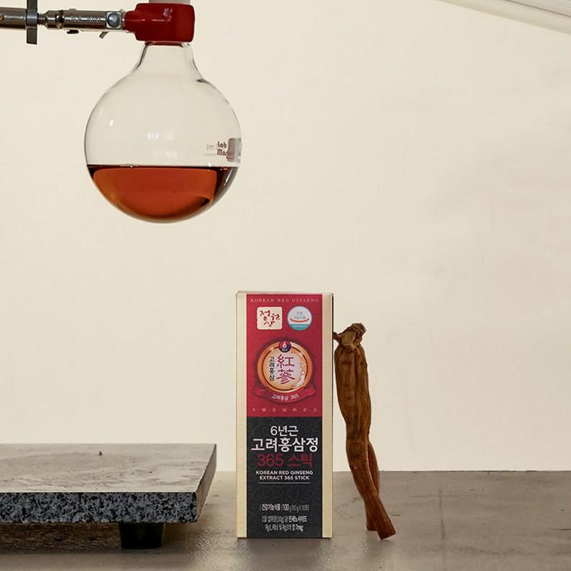 Garden Ginseng 6-year-old Korean Red Ginseng Extract 365 Stick Set, 300g, 1 Unit