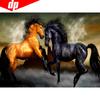 5D DIY Алмазная вышивка Продажа Алмазная картина Прибытие Полная круглая лошадь Алмазная картина