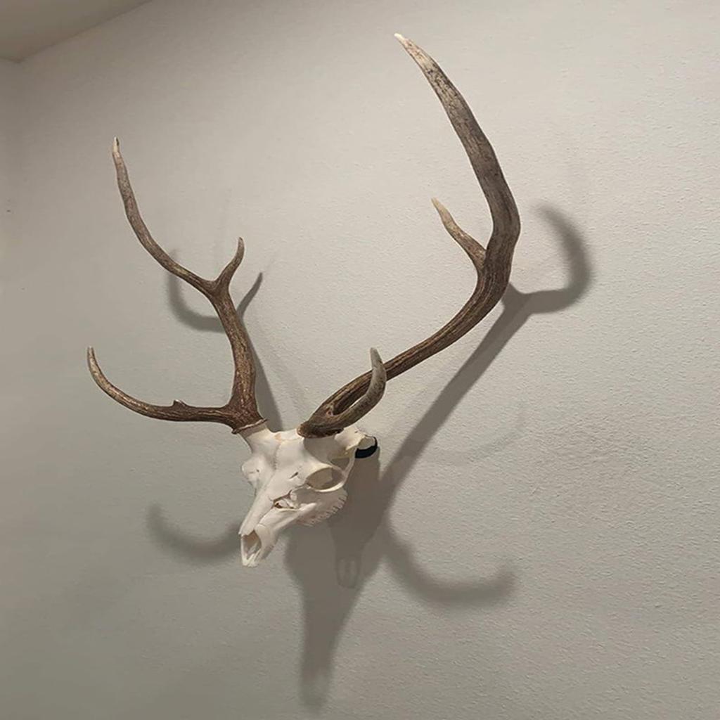 Крюк в виде черепа в европейском стиле, настенный, полукруглый держатель для трофеев со скрытым дизайном для демонстрации белохвостого оленя, быстрая установка, металлическая фурнитура
