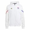 adidas Официальная ветрозащитная куртка с капюшоном для тренировок Olympique Lyonnais Белая Мужская IB1664