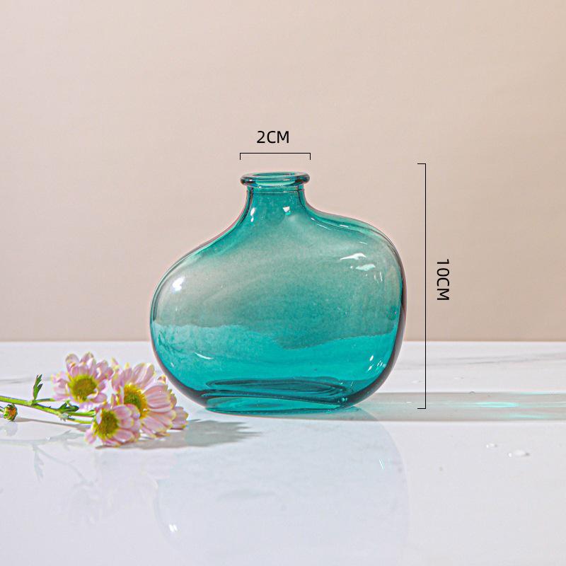 Irregular Glass Vase for Hydroponic Plants - Small Decorative Holder for Living Room Flower Arrangements