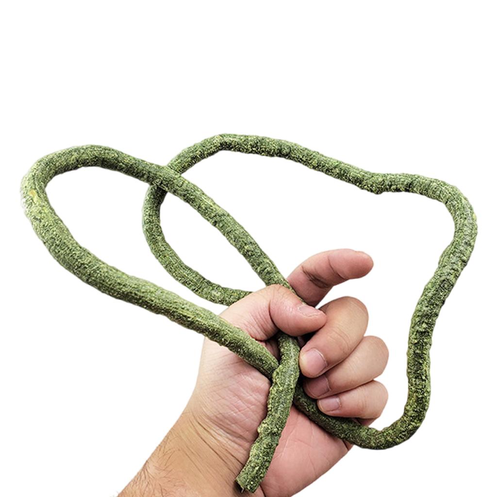 Рептилии Растение Скрыть Виноградная Ветка Листья Террариум Джунгли Среда обитания для Ящериц Гекконов Змея Декоративное Ложное Растение