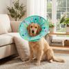 Comfortable Dog Recovery Collar Anti Licking Anti Bite Collar Pet Elizabethan Collar for Cats Dogs