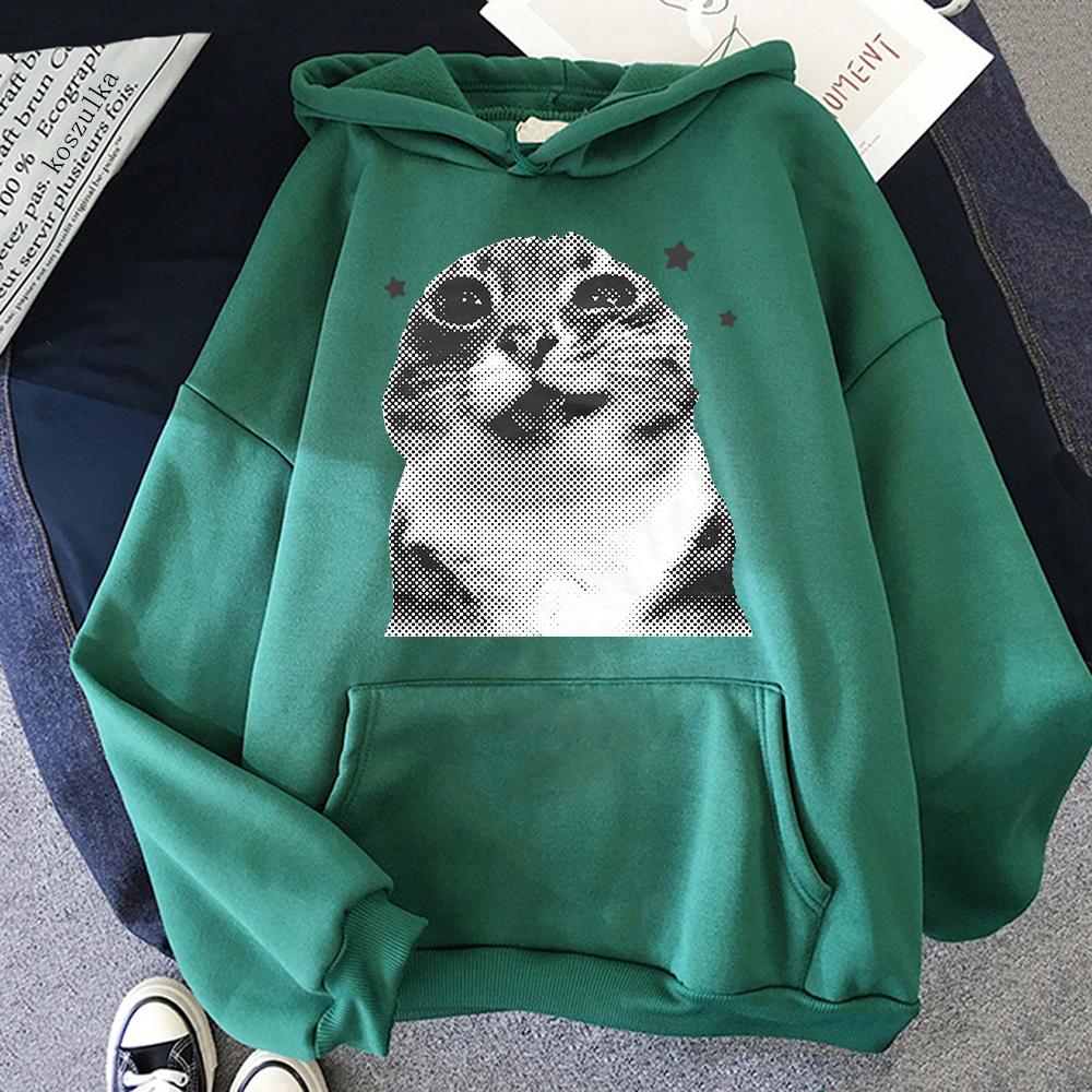 Y2k Funny Cat Meme Hoodie Kawaii Women/men Hoodies Autumn Winter Clothes for Day Gifts Aesthetic Sweatshirt Vintage