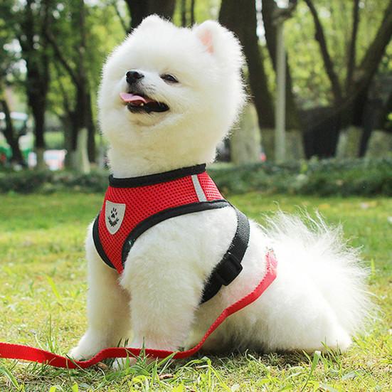 1 Set Dog Harness Adjustable Sweat-absorbent Minimalist Reflective Strip Pet Leash Pet