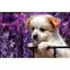 5D Алмазная живопись своими руками Собака в цветке Вышивка Крестиком Стразы Мозаика Домашний декор