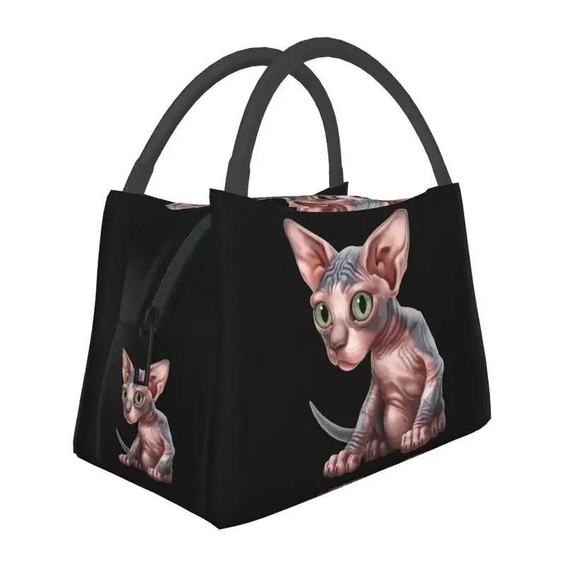 Термоизолированная сумка для ланча Shpynx Cat, женская, милая, с котенком, многоразовая, для пикника на открытом воздухе, для хранения еды, коробка для еды