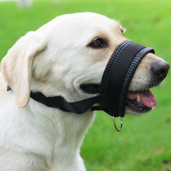 Dog Muzzle Adjustable Loop Nylon Mouth Guard Breathable Anti Barking Biting Chewing Muzzle with Reflective Straps for Small Medium Large Dog