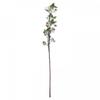 Artificial English Blossom Branch