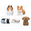 Japan Angry Cute Pet Dog Blind Box Toys Kawaii Animal Series Shiba Inu Pembroke Corgi Doll Model Toys Collect Ornaments