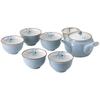 Nishikai Toki Hasami Ware Tea Includes and Sencha Microwave and Dishwasher Made In Japan "Gray Orchid" 6-Piece Set, Teapot, Teacups, Cups, Bowls,