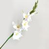 Artificial Gladiolus Flowers 22" Real Touch Flower with Long Stem 4 Full Blooms
