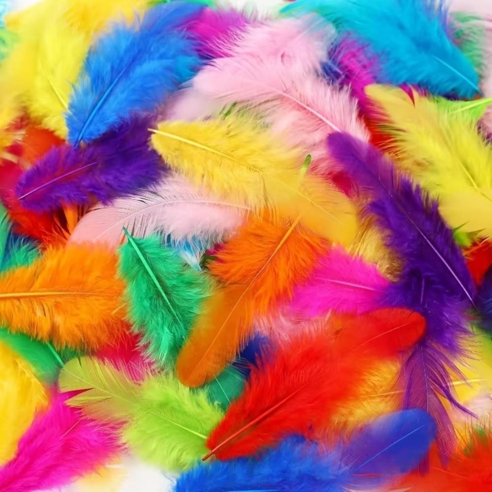 50PCS Natural Feather Colored Feather Decorations Lightweight Colored Feathers DIY Home Crafts
