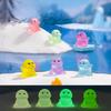 10Pcs/lot Mini Luminous Sea Lion Animal Miniatures Mini Figurine Glow In the Dark Fairy Garden Decoration Moss Terrarium Micro Landscape