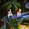 Creative Aquarium Decoration 8 Style Small Fishing Cat Aquarium Accessories Landscaping Ornament Fish Tank Accessories