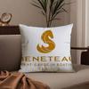 Cartoon B-BeneteauS Y-Yachts Pillow Case Anti-dustmite Pillowcase Invisible zipper silky short plush Sofa cushion cover