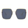 Dior Ever Square Sunglasses Men sunglasses Blue EVDRS1UQR-B0B0
