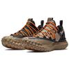 Nike Кроссовки унисекс ACG Mountain Fly Low Fossil Stone Tan Black DA5424-200