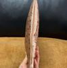 [Pre-Owned] Medium Rose Gold Coated Canvas Floral Print Shoulder Bag Clutch Crossbody Bag Rose Gold Hardware Detachable Shoulder - Very Good #19MMSJF